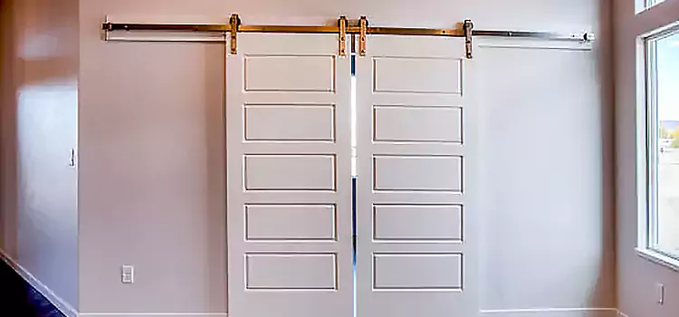 Glass Barn Door with Installation Hardware Kit Sayville